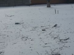 Оккупанты обстреляли парк в Золочеве Харьковской области: кадры с места