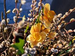 Весна приходить у Харків. Привітання жінкам зі святом