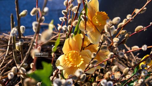 Весна приходить у Харків. Привітання жінкам зі святом