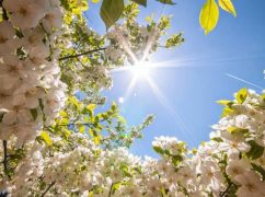 Придет ли настоящее тепло: какой будет погода в Харькове в апреле