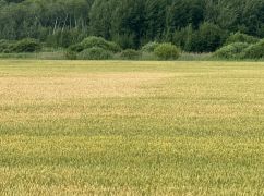 В Харьковской области отменили "скрытую аренду" земли: государству вернули 564 га