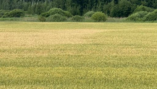 На Харківщині скасували "приховану оренду" землі: державі повернули 564 га