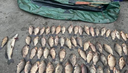 Рыбалка в Харьковской области закончилась криминалом: улов на 110 тыс. грн