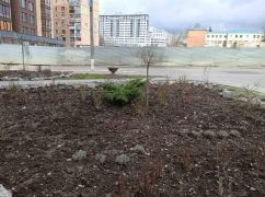 В Харькове "охотятся" на городские клумбы: неизвестные похитили 23 сосны и сотни цветов