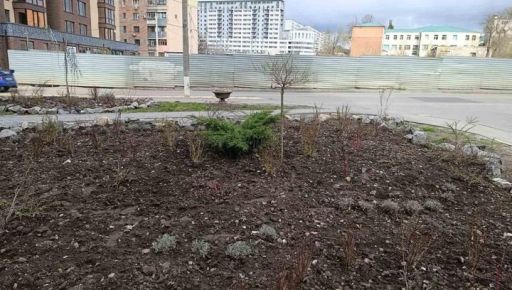 У Харкові "полюють" на міські клумби: невідомі викрали 23 сосни та сотні квітів