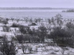 У Харкові розпочався снігопад: відео місцевих мешканців