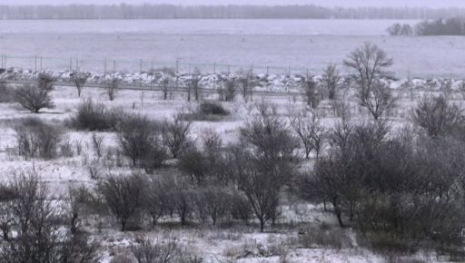 У Харкові розпочався снігопад: відео місцевих мешканців