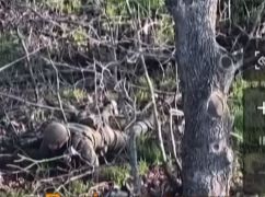 В Харьковской области военные ликвидировали FPV-дроном оккупанта, который прикинулся мертвым