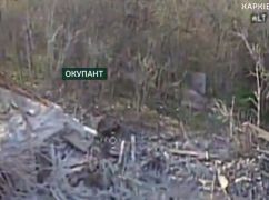 Прикордонники показали, як знищують техніку та живу силу ворога на Харківщині