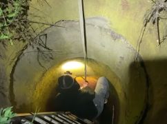 На Харківщині врятували песика, який провалився у 5-метровий колектор
