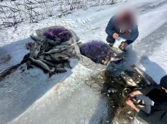 В Харьковской области разоблачили браконьеров, наловивших рыбу более чем на 250 тыс. грн