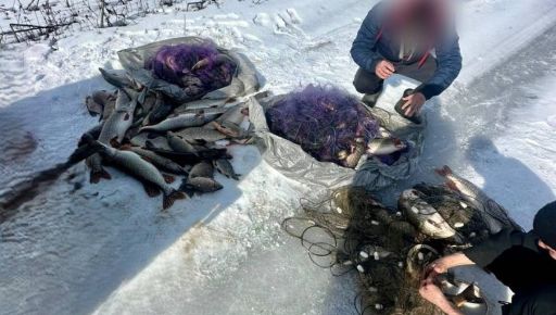 На Харківщині викрили браконьєрів, які наловили рибу на понад 250 тис. грн