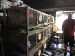 В прокуратуре сообщили последствия российского удара по зоопарку в Харькове: снимки с места