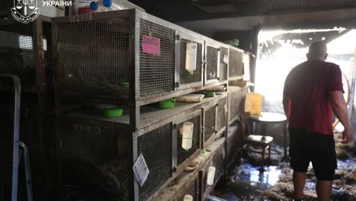 В прокуратуре сообщили последствия российского удара по зоопарку в Харькове: снимки с места
