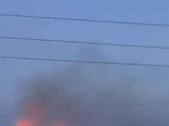 Окупанти обстріляли ферму в Харківській області, загинули тварини: кадри з місця