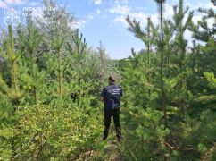 В Харьковской области через суд защитили 233 участка самооблесенных земель