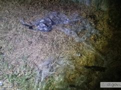 Россияне дважды ударили FPV-дронами по Дергачам: загорелось авто
