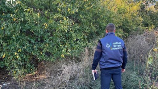 На Харківщині через суд повернуть державі майже 5 га лісових земель