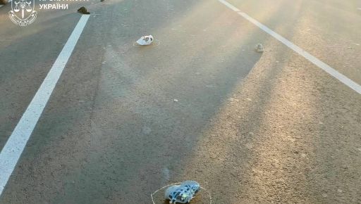Под Харьковом водитель задавал на пешеходном переходе 10-летнего ребенка
