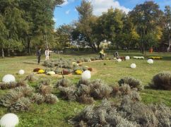 На Журавлівці у Харкові з&rsquo;явиться нова квіткова локація з лаванди та хризантем (ФОТОФАКТ)