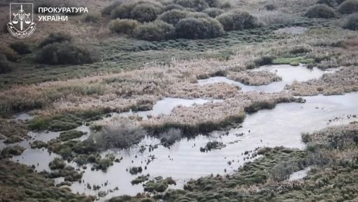 На Харківщині побіліла річка: прокуратура розслідує можливе забруднення