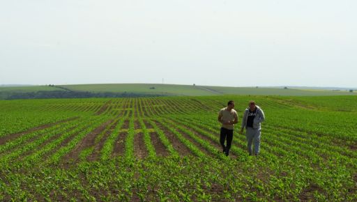 За пай платять мало або затримують орендну плату: чи можна змінити умови договору