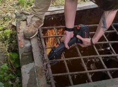 В Харькове спасли месячного котенка, который упал в погреб