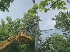 У Харкові ворону визволяли зі стовпа за допомогою спецвишки: кадри порятунку