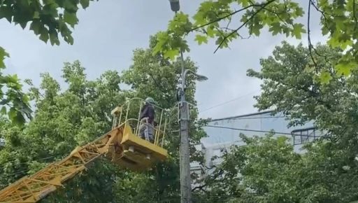 В Харькове ворону вызволяли из столба с помощью спецвышки: кадры спасательной операции
