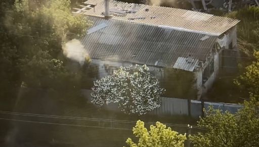 Военные показали зачистку села в Харьковской области и опровергли фейк РФ о "захвате"