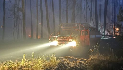 В Харьковской области горит семь лесов: огонь охватил более 153 га
