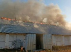 Полиция показала последствия российских обстрелов Харьковщины за сутки