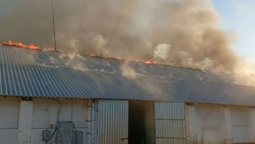 Поліція показала наслідки російських обстрілів Харківщини за добу