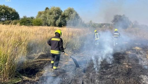 На Харківщині за добу вигоріло понад 6,6 га сухої трави