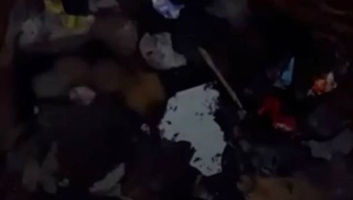 На Харьковщине собака спасла двух щенков, провалившихся в туалет