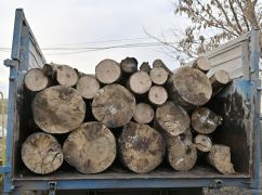 На Харьковщине людям раздали почти 41 тысячу кубометров топливной древесины – ОВА