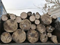 Жителей Харьковщины обеспечат бесплатными дровами - Минреинтеграции