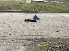 Россияне повредили пункт стерилизации животных в Харьковской области: что известно