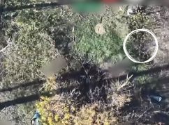 Оборонці показали, як "смажать" росіян серед руїн Вовчанська