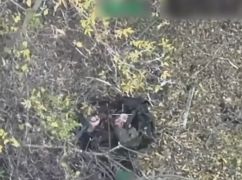 Тицяв середній палець дрону: на Харківщині підірвали невихованого росіянина