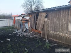 В Харьковской области дрон РФ ударил по частному двору: кадры последствий