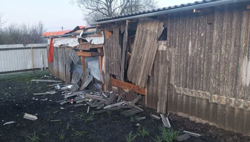 На Харківщині дрон РФ вдарив по приватному подвір'ю: кадри наслідків