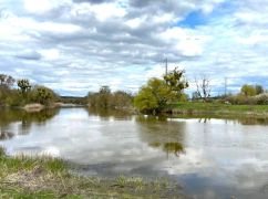 На Харківщині масово гине риба в Сіверському Дінці: що відомо