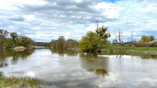 В Харьковской области массово погибает рыба в Северском Донке: что известно