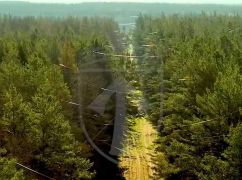 Оптоволокно від російських дронів засмічує ліси Харківщини: кадри з неба