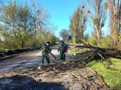 У Харкові через буревій постраждала людина - Терехов
