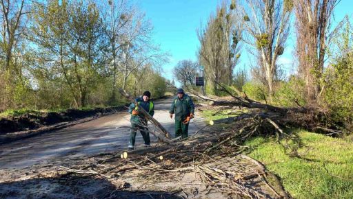 У Харкові через буревій постраждала людина - Терехов