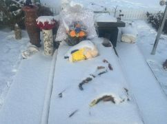 В Харьковской области неизвестные повредили могилу военнослужащего - полиция