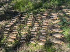 На Харківщині чоловік наловив червонокнижної риби на понад 128 тис. грн