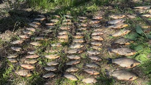 На Харьковщине мужчина наловил краснокнижной рыбы более чем на 128 тыс. грн